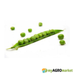 Αρακάς Utrillo peas σπόρος