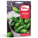 Πιπεριά Padron σπόροι