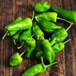 πιπεριά padron