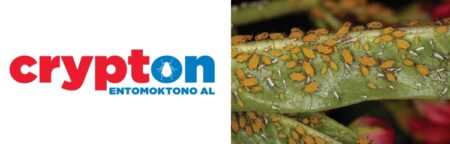 ετοιμόχρηστο φάρμακο για μελίγκρα αλευρώδεις