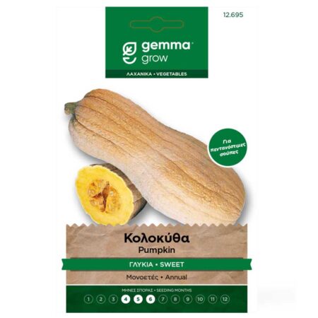 σπόροι κολοκύθα butternut γλυκιά