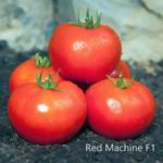 ντομάτα red machine f1 σπόροι