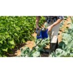 θειωτήρας χειρός με μύλο 1 κιλό