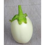 μελιτζάνα λευκή clara f1 σπόρος melitzana leuki sporos eggplant white seed