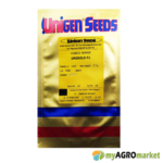 πιπεριά κίτρινη γεμιστή unigold f1 σπόροσ piperia sporos pepper seed hybrid