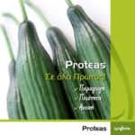 proteas f1 μακρύ αγγούρι 100 σπόροι syngenta