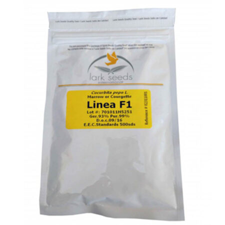 κολοκύθι linea f1 500 σπόροι lark seeds