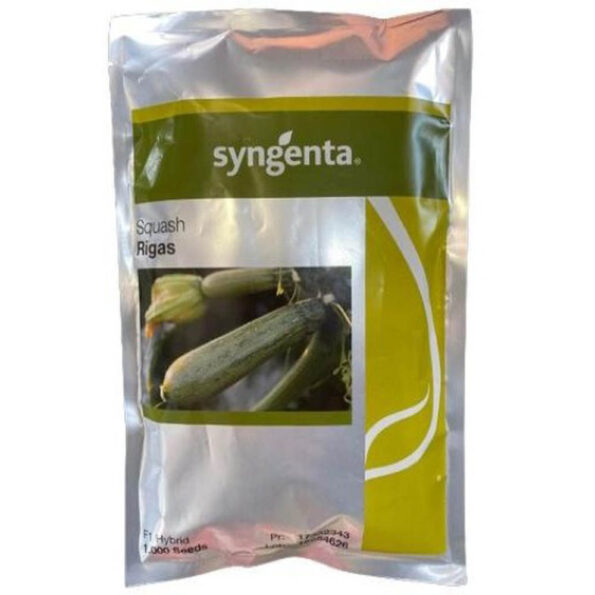 κολοκύθι rigas f1 σπόροι syngenta