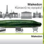 Αγγούρι makedon μακεδων σπόρος τιμή aggour makedon sporos agora