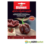 Habanero chocolate σπόρος καυτερή πιπεριά kauteri sporos