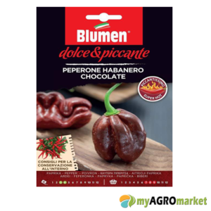 Habanero Chocolate καυτερή πιπεριά