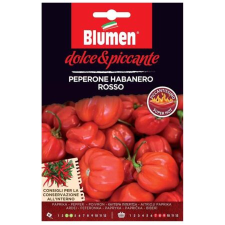 Habanero rosso καυτερή πιπεριά σπόροι
