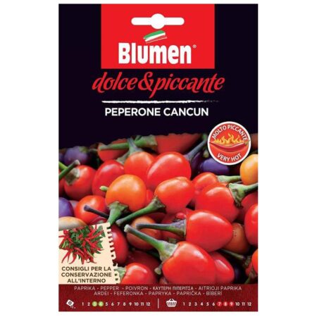 cancun σπόροι καυτερής πιπεριάς