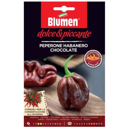 habanero chocolate σπόροι καυτερής πιπεριάς