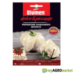 Habanero Bianco καυτερή πιπεριά
