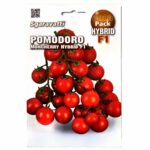 σπόροι ντοματίδι cherry υβρίδιο moncherry 2000 f1