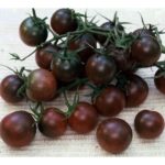 ντοματίνι μαύρο σπόρος black cherry
