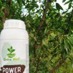 Grow Well POWER 1lit λίπασμα για καρπόδεση