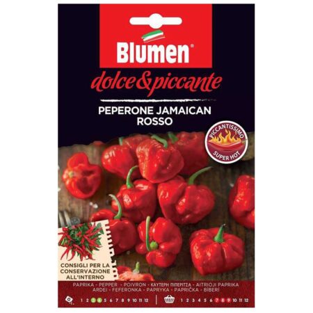 Jamaican Rosso καυτερή πιπεριά σπόροι