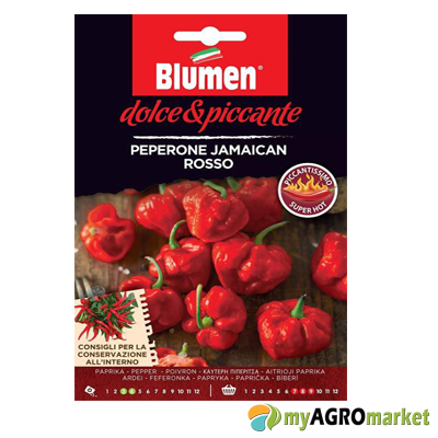 καυτερη πιπερια jamaican rosso σπόροι kayteri piperia
