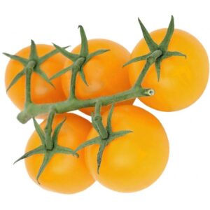 σπόροι κίτρινης ντομάτας