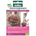 microgreens σπόροι παντζριού βιολογικοί 15gr