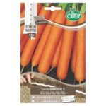 σπόροι καρότου σε χαρτοταινία σποροταινία χαρτί με σπόρους
