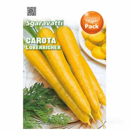 κίτρινο καρότο σπόρος