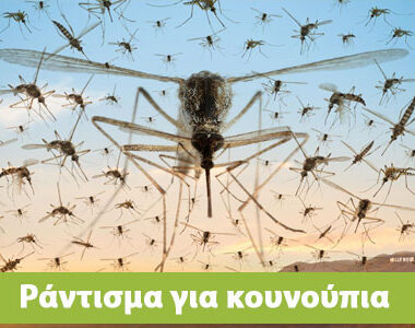 Ράντισμα για κουνούπια: πότε , πως και με ποια σκευάσματα ;