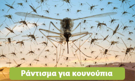 ράντισμα για κουνούπια