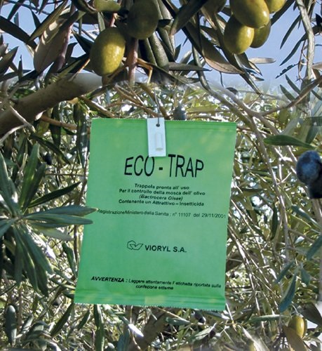 eco-trap βιορυλ δακοπαγίδα