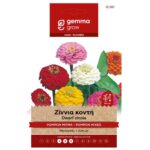 ζίνια σπόρος ζίννια κοντή pompon μίγμα