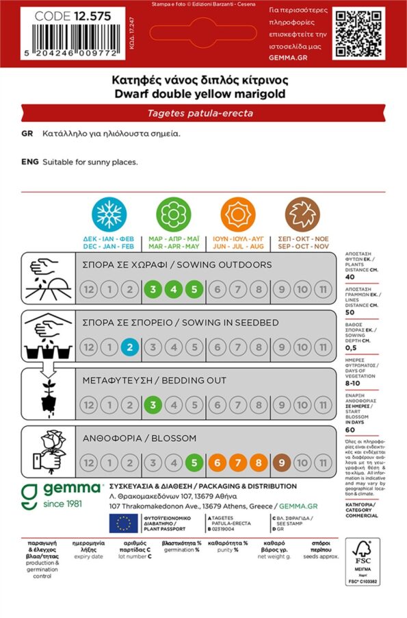κατηφές νάνος διπλό κίτρινος σπόροι