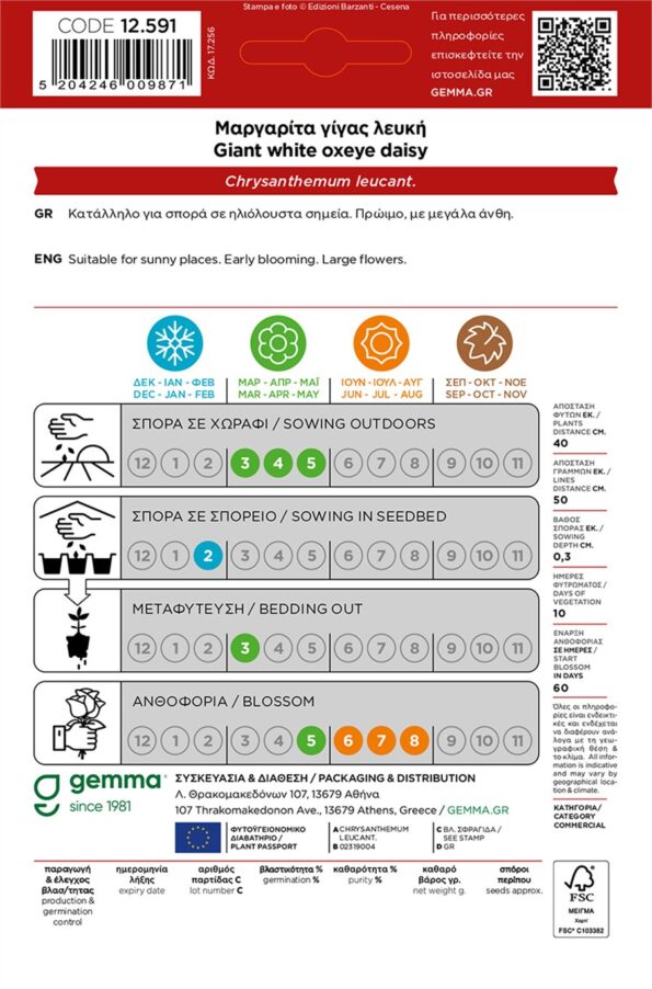 μαργαρίτα λευκή γίγας σπόροι