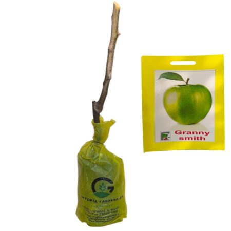 μηλιά granny smith ξινόμηλο δέντρο