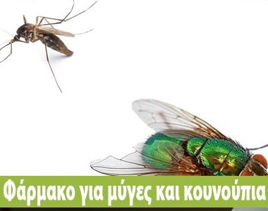 Γιατί ξεραίνεται το δενδρολίβανο;