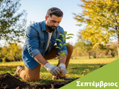 τι δέντρα φυτεύουμε τον Σεπτέμβριο