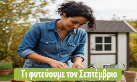 τι φυτεύουμε τον Σεπτέμβριο