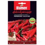 Yucatan F1 καυτερή πιπεριά σπόρος