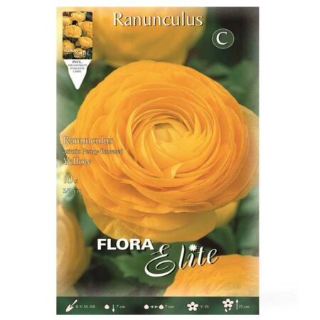 βολβοί νεραγκούλα asiatic yellow