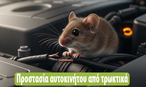 Προστασία μηχανής αυτοκινήτου από ποντίκια