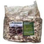 μπλοκ μανιταριών shiitake καλλιέργεια