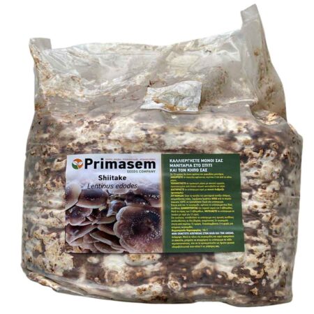 μπλοκ μανιταριών shiitake καλλιέργεια