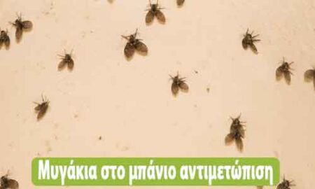 μυγάκια στο μπάνιο αντιμετώπιση
