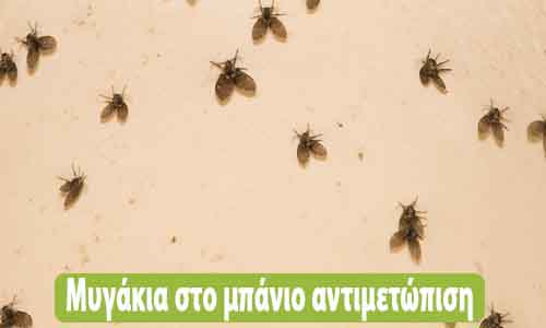 μυγάκια στο μπάνιο αντιμετώπιση