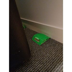παγίδα κοριών bed bug detector plus