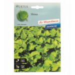 σπόροι shiso