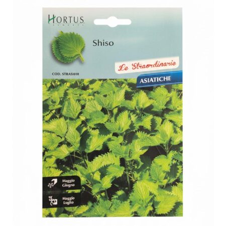 σπόροι shiso