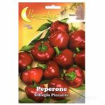 Καυτερή πιπεριά Ciliegia Piccante σπόροι