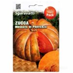 Σπόροι κολοκύθα Μοσχάτη της Προβηγκίας-Moschata di Provenza
